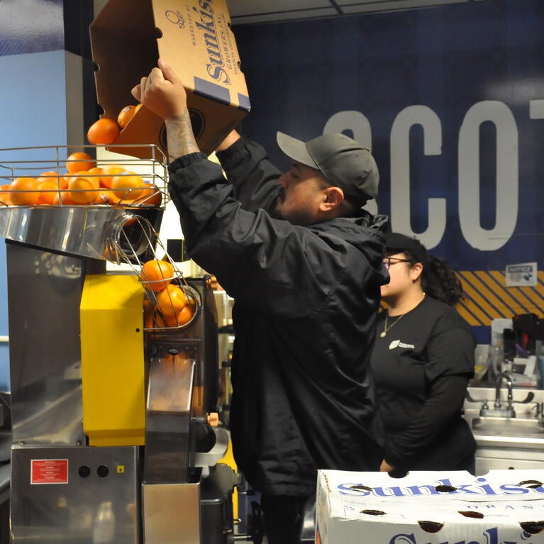 Dining services employee pouring oranges into squeezer