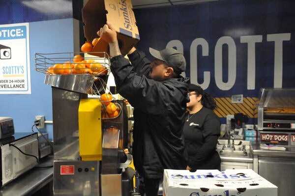 Dining services employee pouring oranges into squeezer