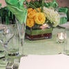 Catering Services decorative table display