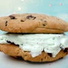 An ice cream sandwich with chocolate chip cookies from Scoops.