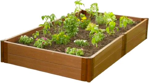 gardenbox | Dining Services